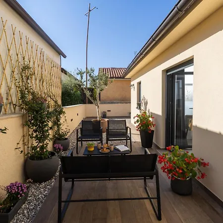 Apartment Olive Premium Poreč